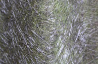 Headley fibreglass roof work